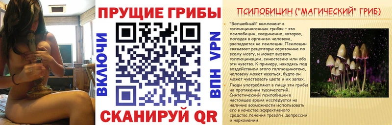 Купить закладки  Козельск  Псилоцибиновые грибы Magic Shrooms 